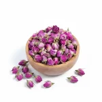 غنچه گل محمدی