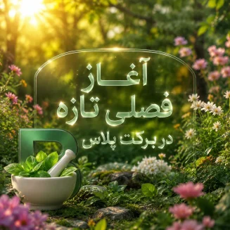 برکت پلاس شعبه دوم