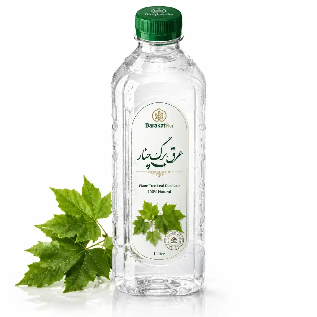 برگ چنار