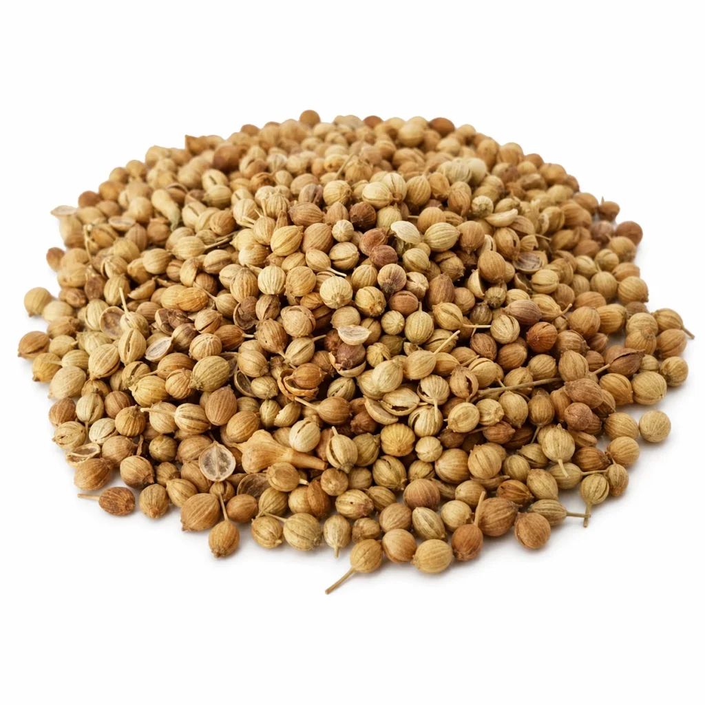 تخم گشنیز