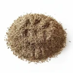 زیره سبز