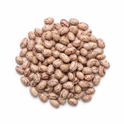 لوبیا چیتی
