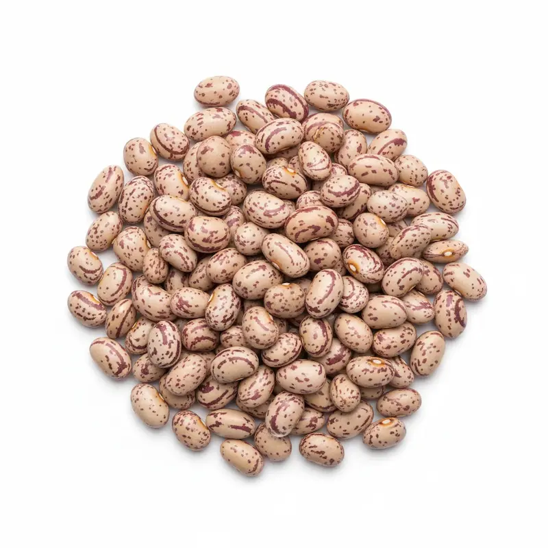 لوبیا چیتی